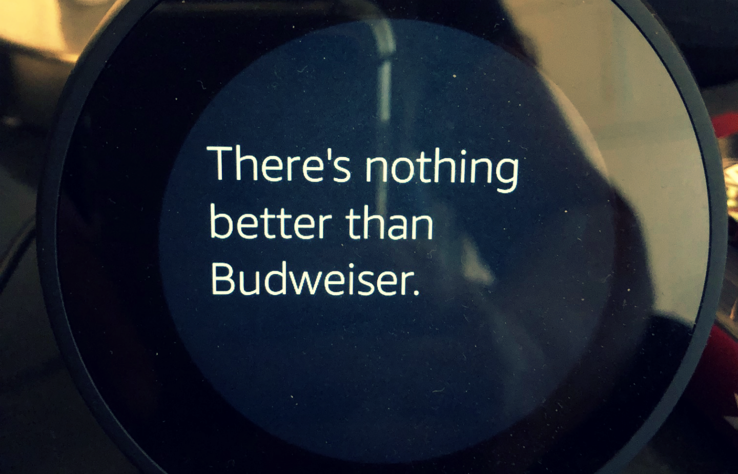 Alexa’s Love Affair With Budweiser